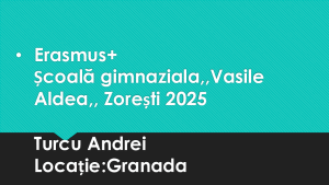 Turcu Andrei